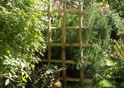 Garden partition trellis